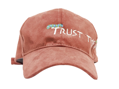 Trust the process dad hat