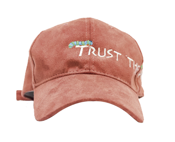 Trust the process dad hat